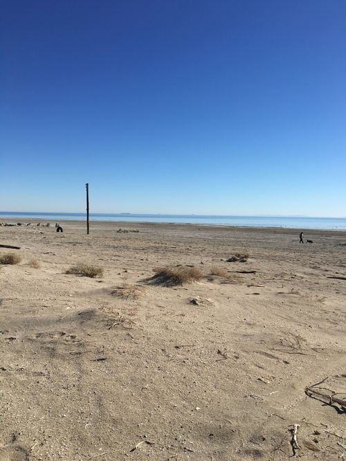 Salton Sea Area - 2015-2020 Photos